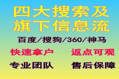 某某sem推广公司实战案例：精准投放提升转化率